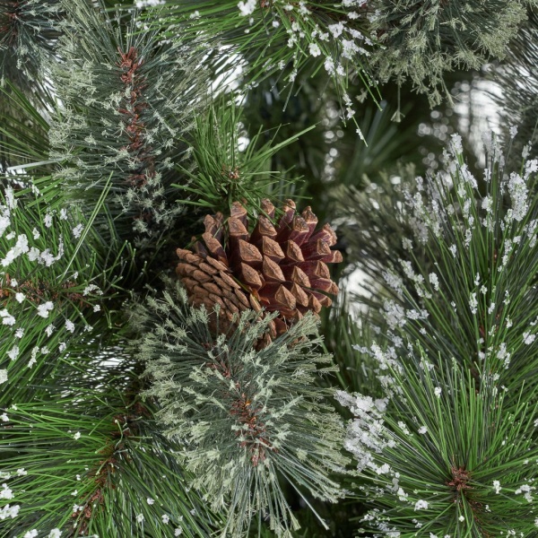 cashmere pine 1